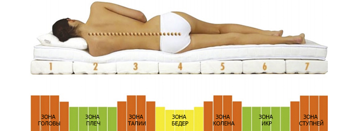 зоны жесткости матраса на каждую часть тела