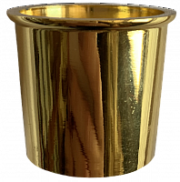 SLE-01 golden